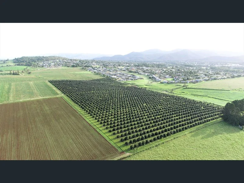 Additional image 18 of 139 Tinaroo Falls Dam Road, Atherton QLD 4883