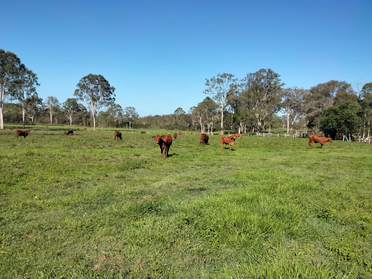 Additional image 13 of 2913 Rosedale Road, Yandaran QLD 4673