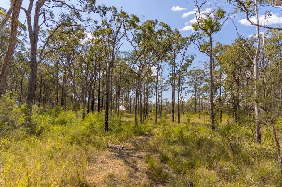 Additional image 8 of 250 Wombat Road, Lakesland NSW 2572