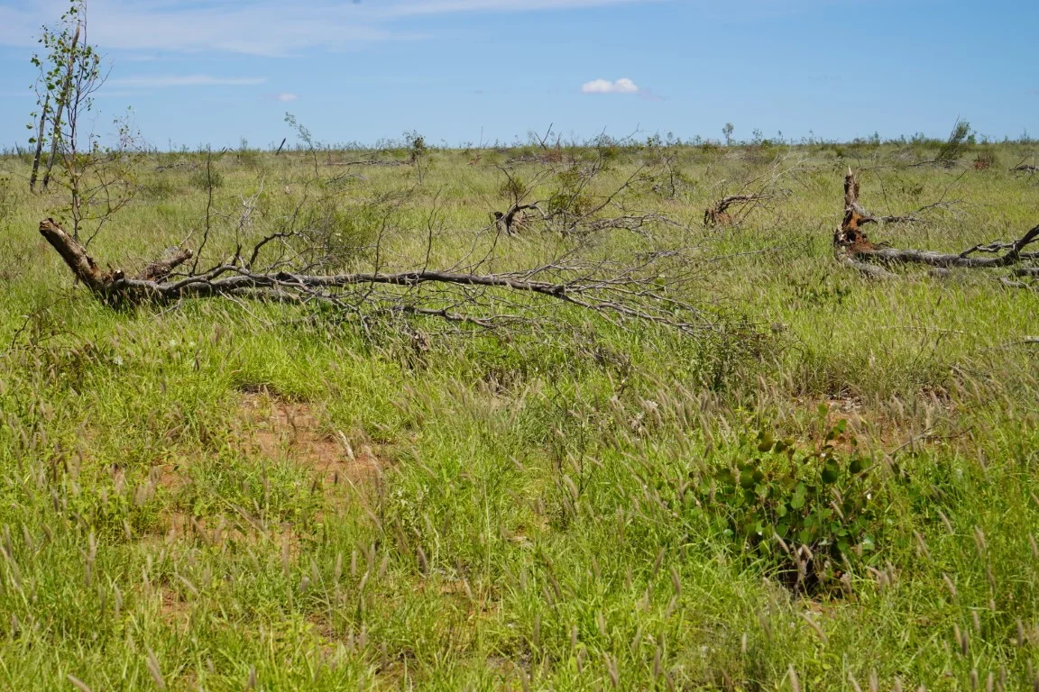 Additional image 11 of 1081 Tareela Access Road, Mungallala QLD 4467