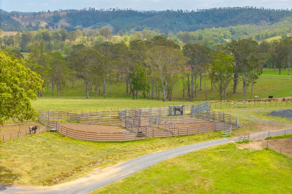 Additional image 20 of 800 Toms Gully Rd, Hickeys Creek NSW 2440