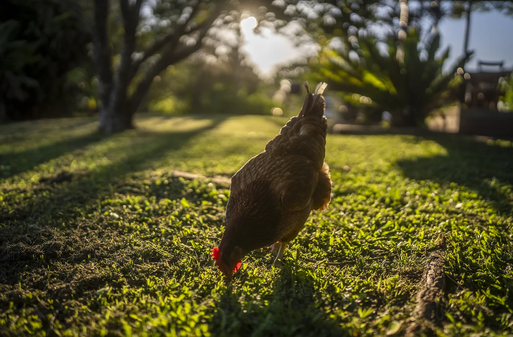 Additional image 13 of 33 River Street, Repton NSW 2454