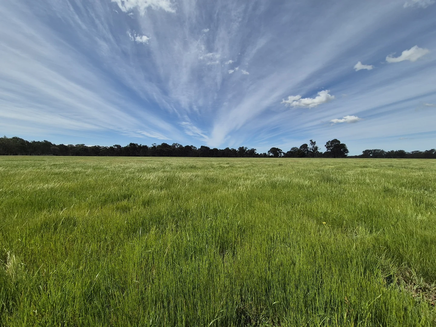 Additional image 34 of 50 Ramage Road, Violet Town VIC 3669