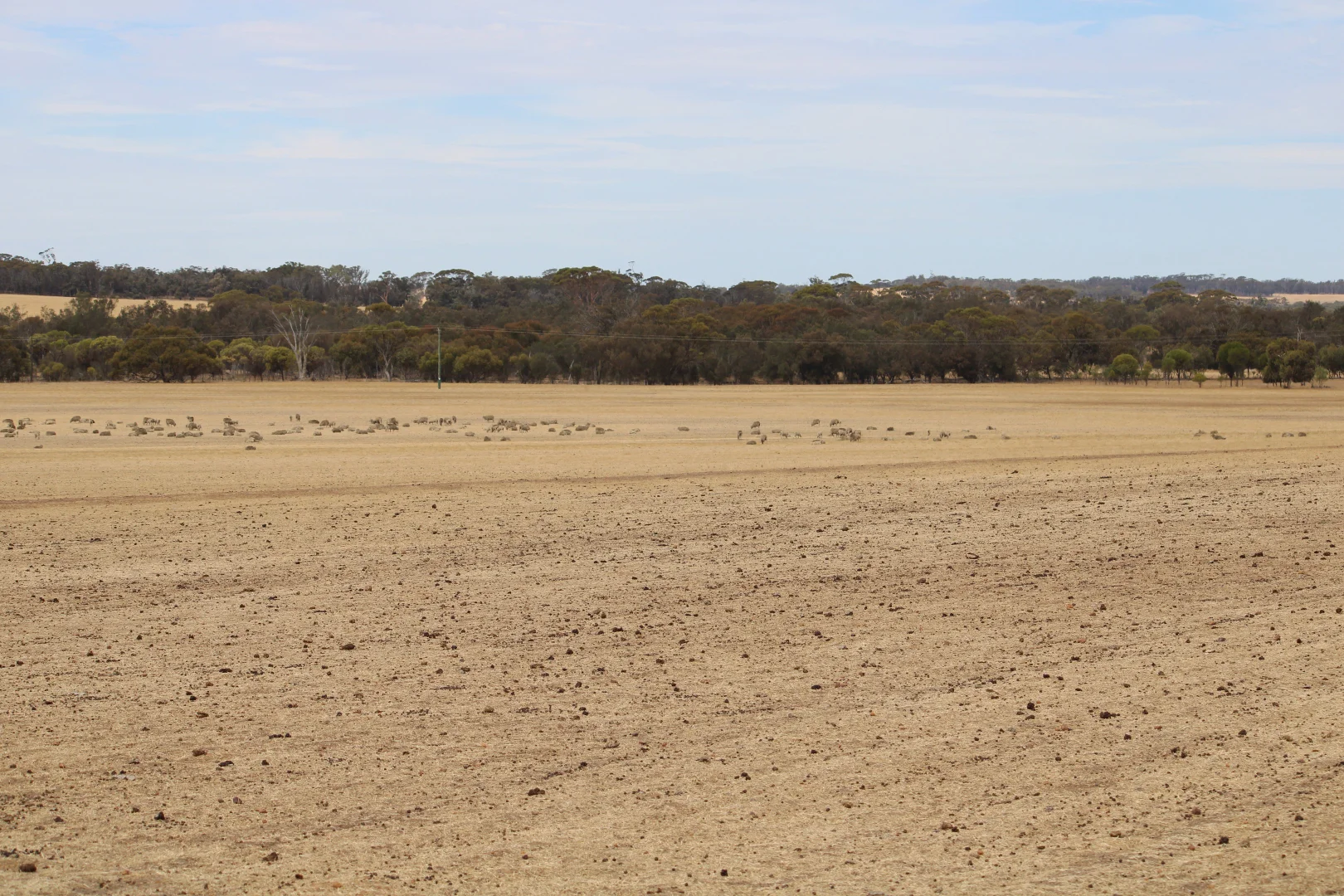 Additional image 4 of 191 Great Southern Highway, Woodanilling WA 6316