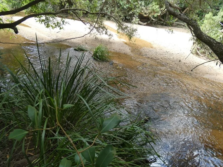 397 Mollenhagens Road, Rosedale QLD 4674