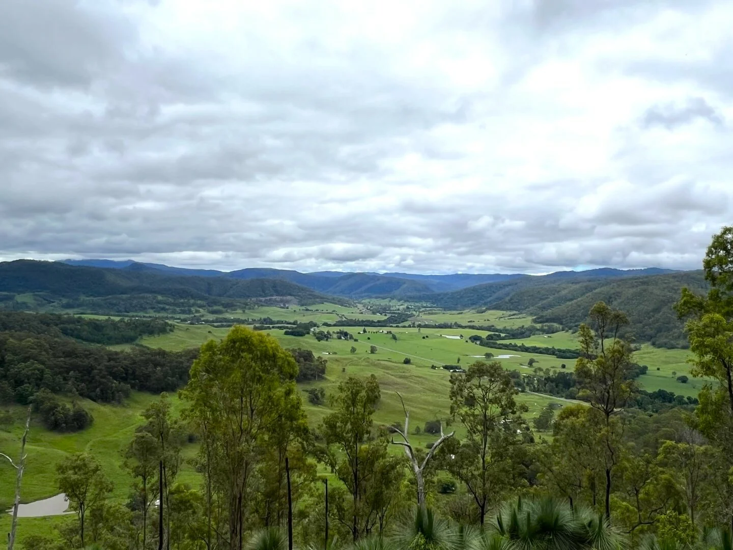 Additional image 23 of 59 Wyndham Road, Wyneden NSW 2474