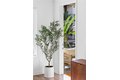 Additional image 36 of 2318 Nolita, Irvine, CA, 92612