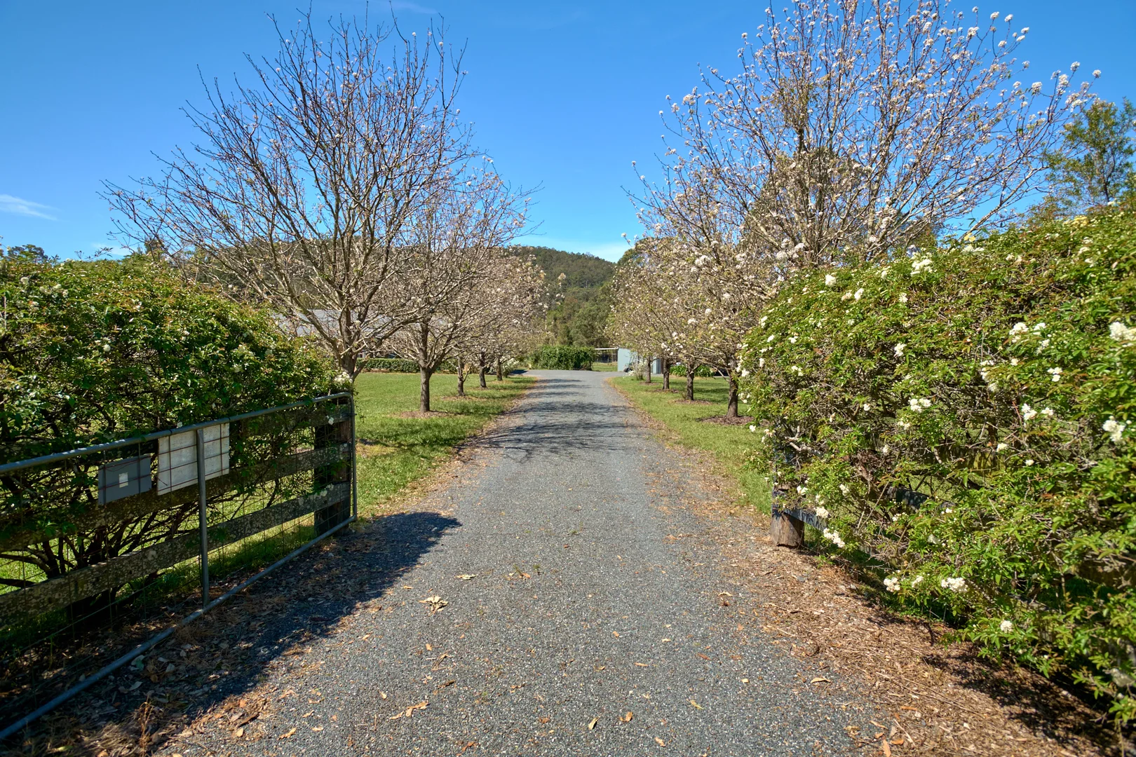 Additional image 17 of 48 Markwell Back Road, Bulahdelah NSW 2423