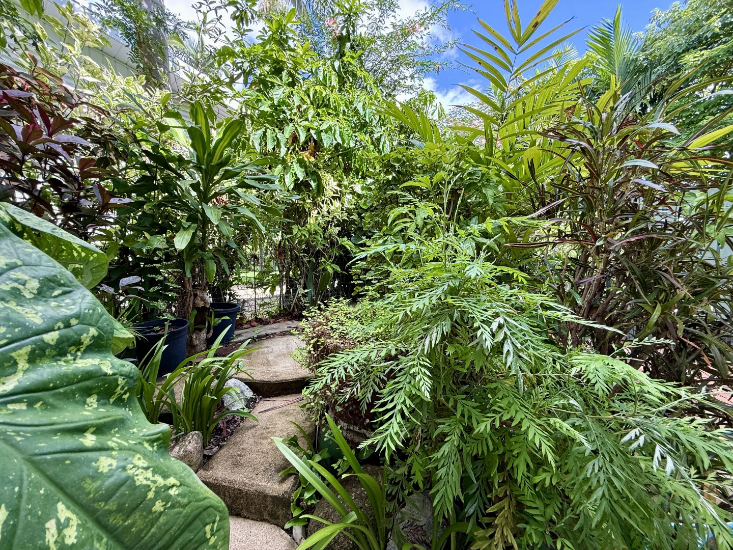 Additional image 20 of 40 Crocker Street, Kirwan QLD 4817