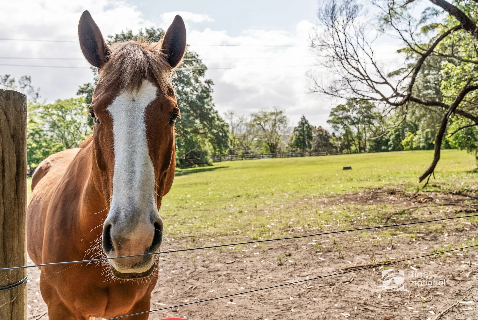 Additional image 25 of 272B Princes Highway, Milton NSW 2538