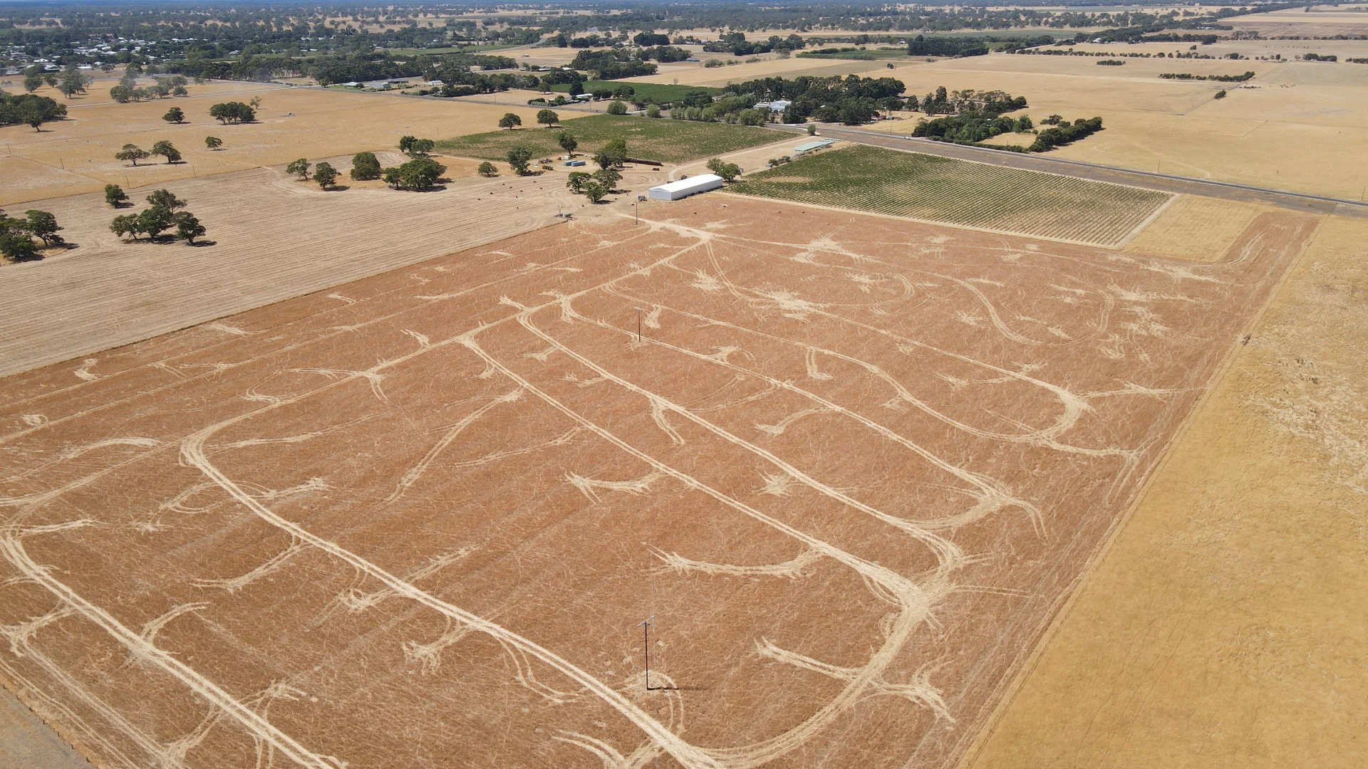 Additional image 10 of 8283 Clay Wells Rd, Penola SA 5277