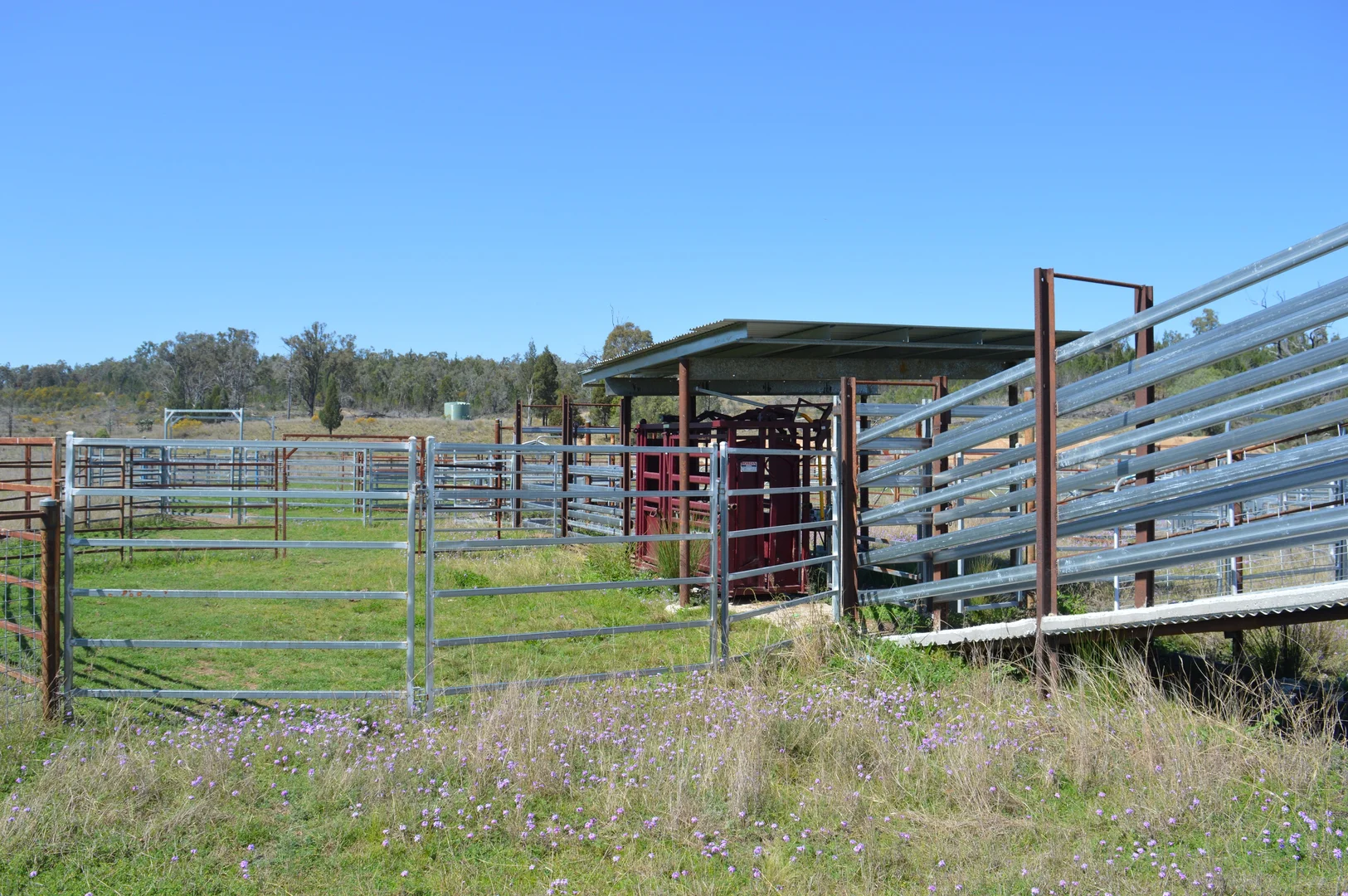 Additional image 12 of 3094 Mosquito Creek Road, Mosquito Creek QLD 4387