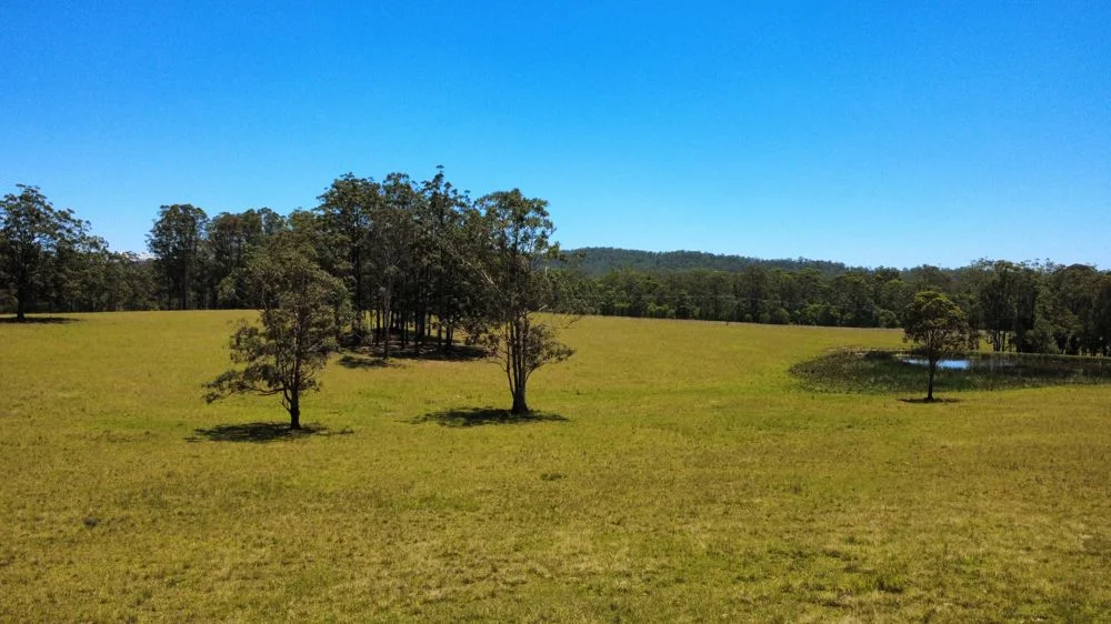 Additional image 16 of Lot 2 Upper Smiths Creek Road, Kundabung NSW 2441