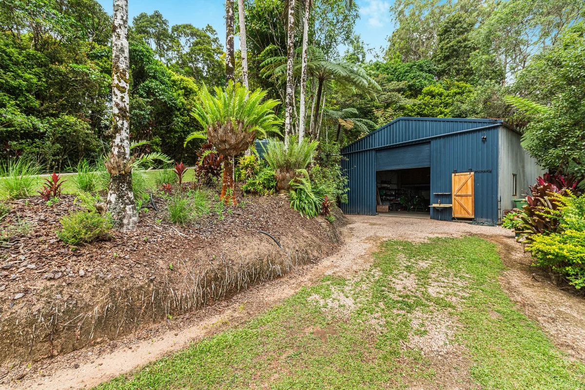 Additional image 21 of 222 Hitchconole Road, Tarzali QLD 4885