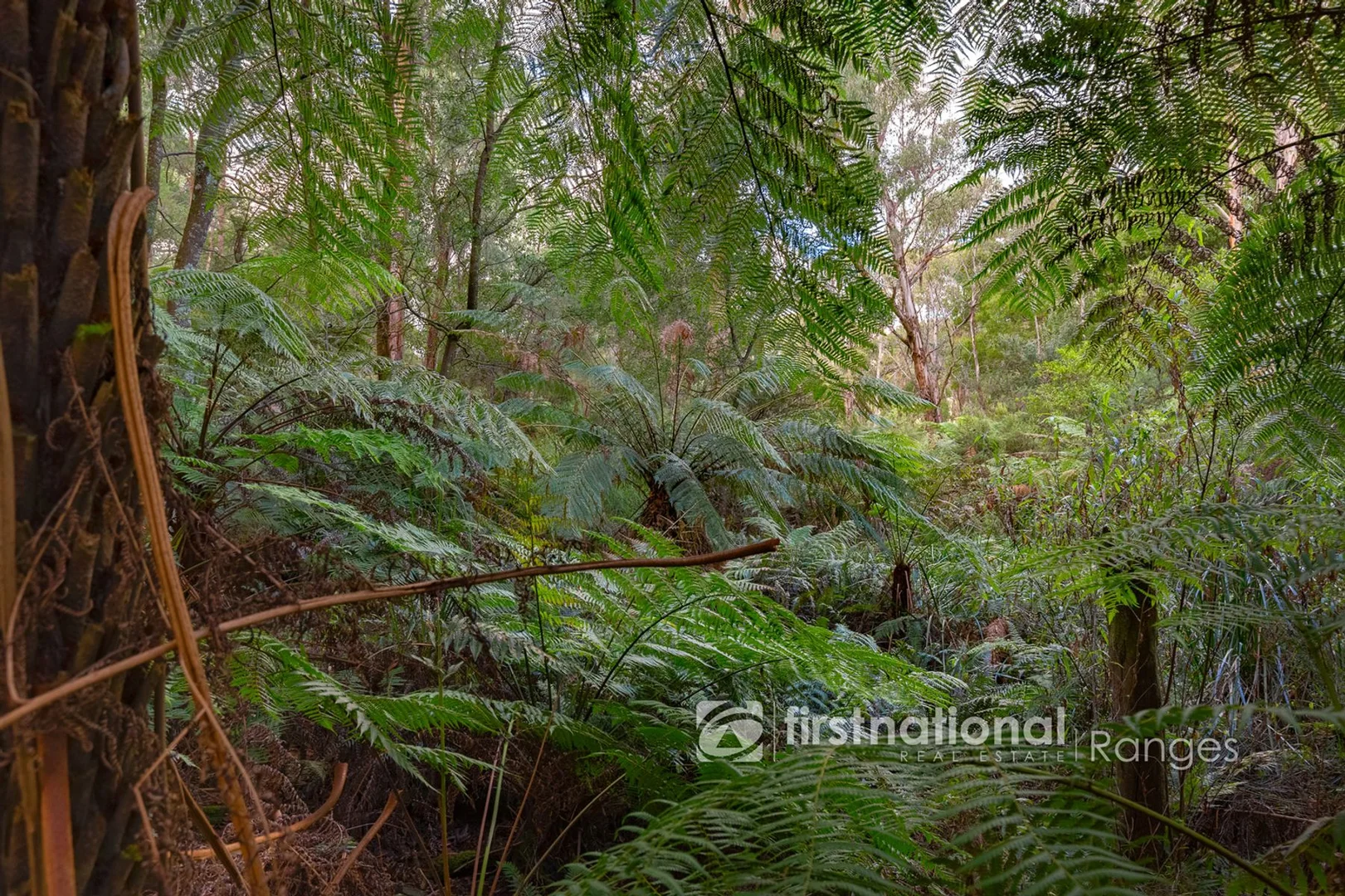 Additional image 14 of 31 Coulson Road, Monbulk VIC 3793