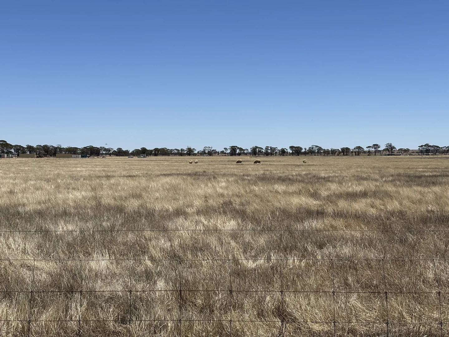 Additional image 6 of Lot 19 Great Eastern Highway, Nangeenan WA 6414