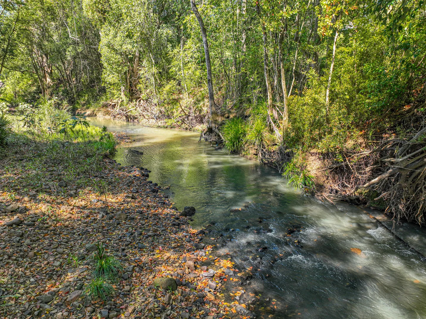 Additional image 5 of 110 Cullen Street, Nimbin NSW 2480