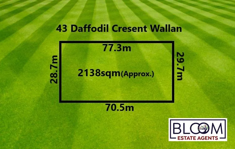43 Daffodil Crescent, Wallan VIC 3756