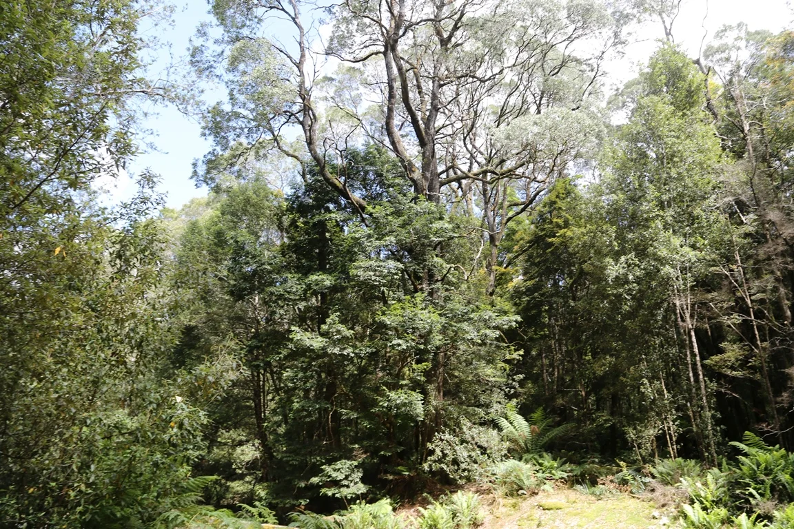 Additional image 16 of 1 Croles Road, Trowutta TAS 7330