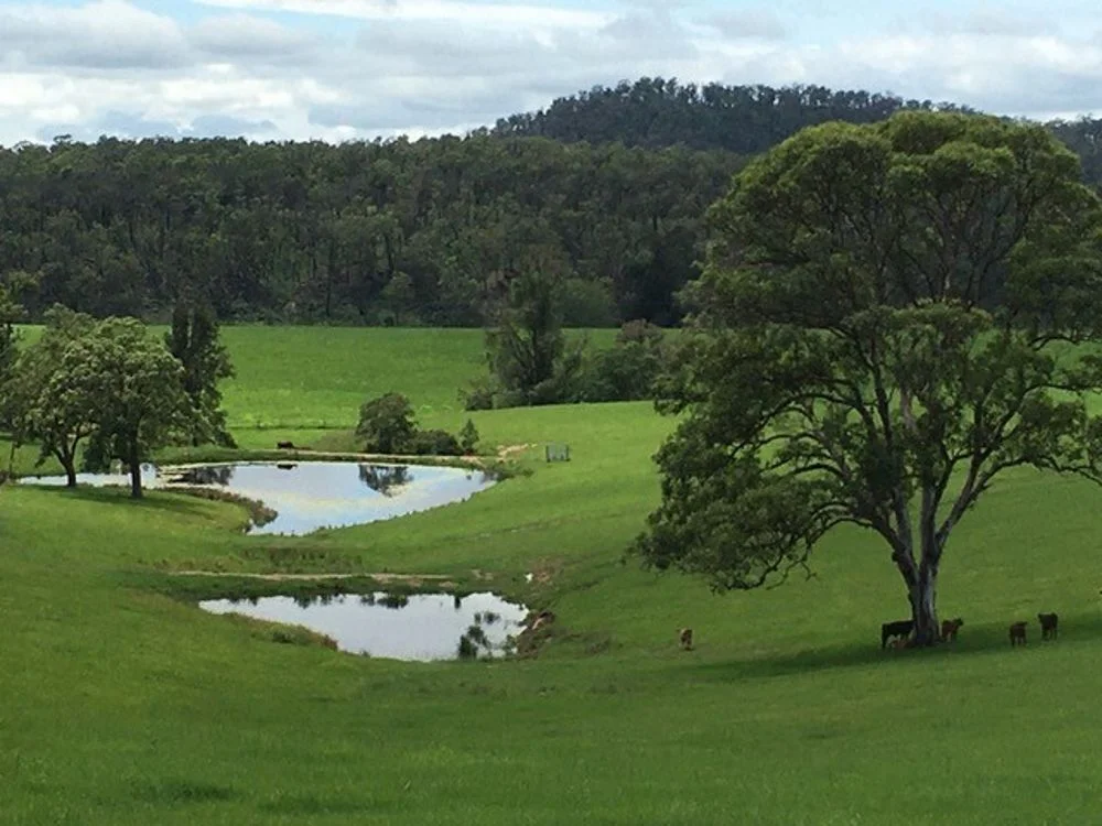 Additional image 2 of 800 Toms Gully Rd, Hickeys Creek NSW 2440