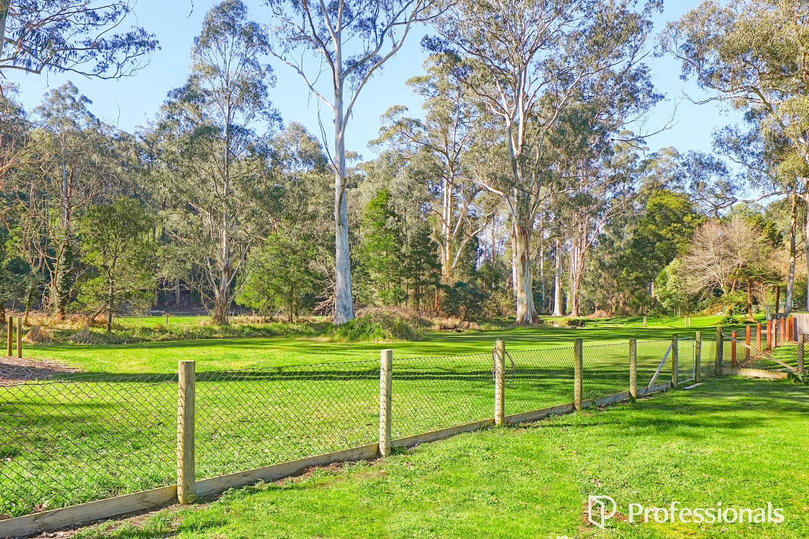 Additional image 23 of 20 Bennett Street, Noojee VIC 3833