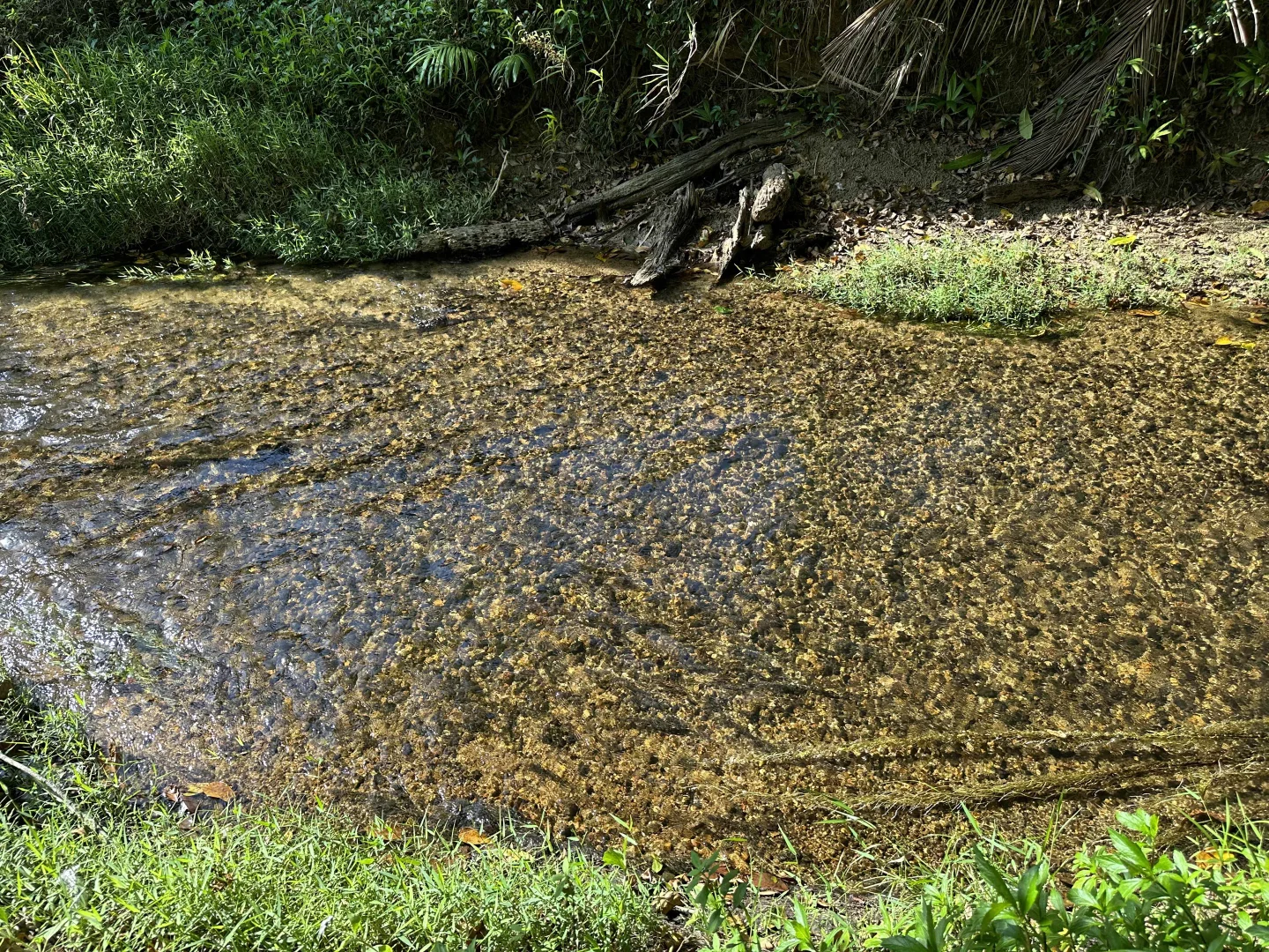 Additional image 10 of Lot 2 Broderick Road, Midgenoo QLD 4854