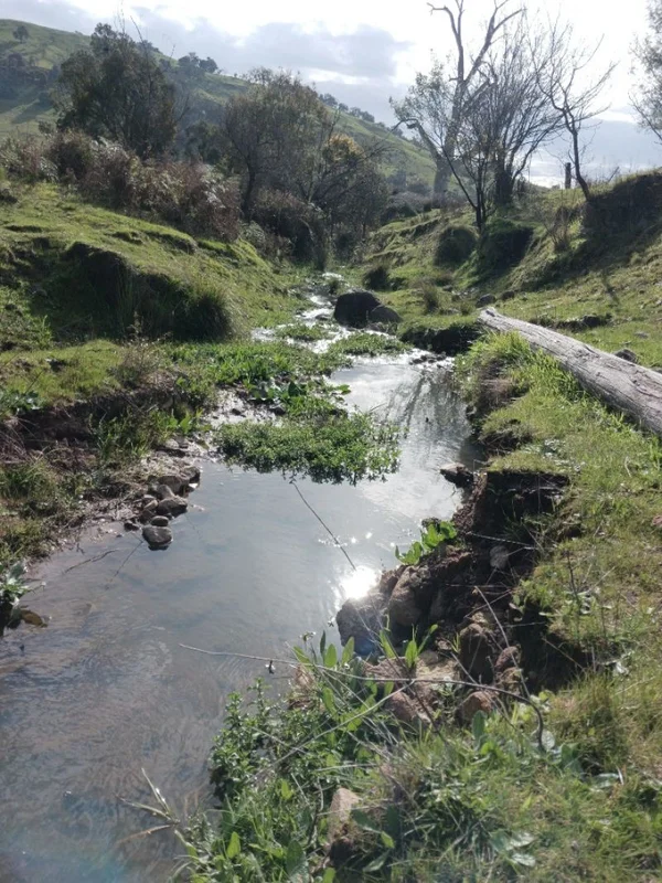 Additional image 6 of 500 Watchbox Creek Road, Molyullah VIC 3673