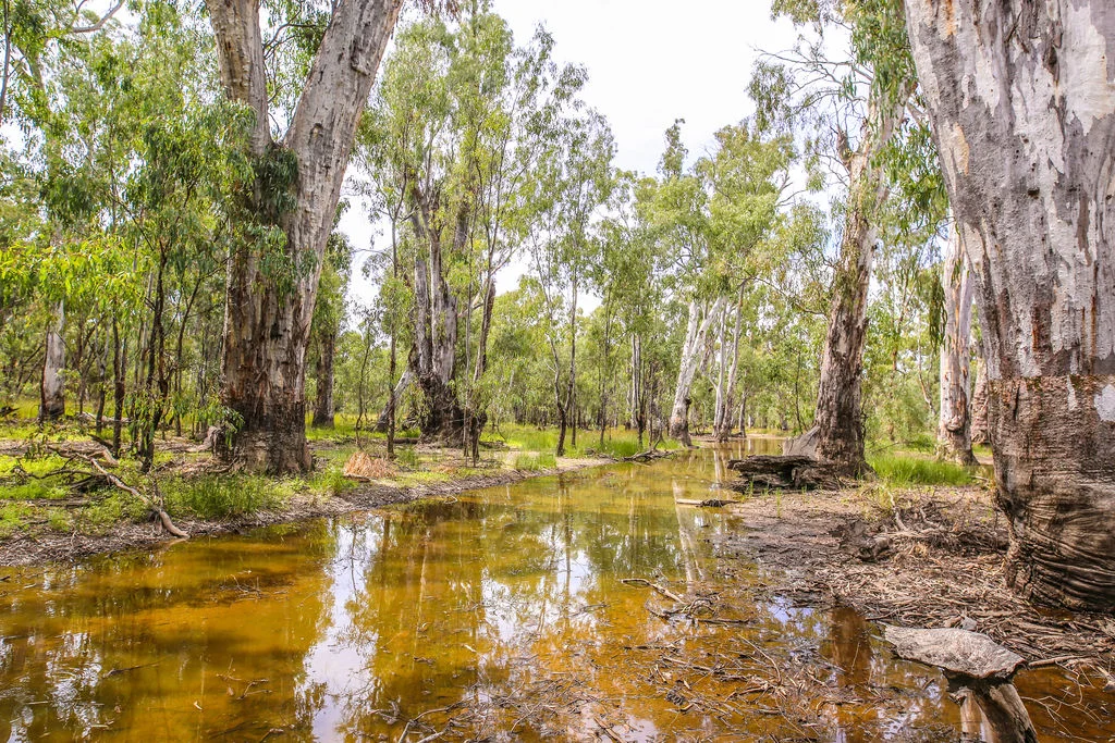 Additional image 16 of Lot 19, 20, 23 & 24 - 650 Yarraman Road, Moama NSW 2731