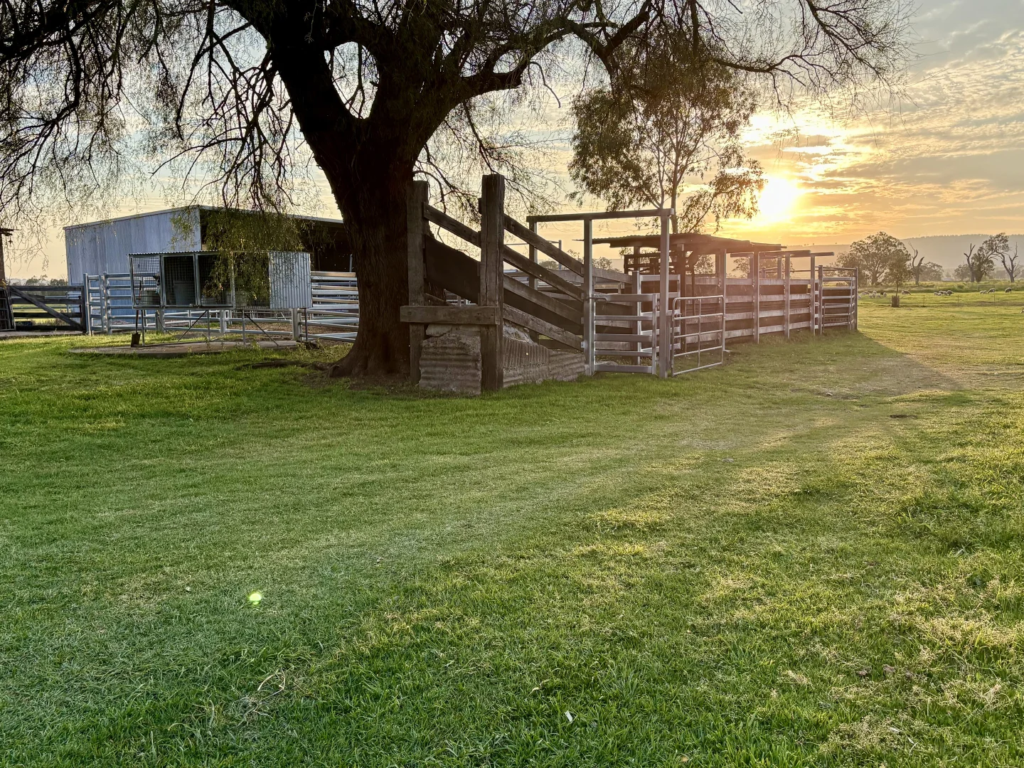 Additional image 29 of "Runnymeade" 80 Blairmore Lane, Aberdeen NSW 2336