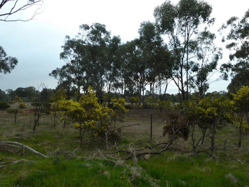Additional image 7 of Lot 50 Wedderburn Junction East-Fiery Flat Road, Wedderburn VIC 3518