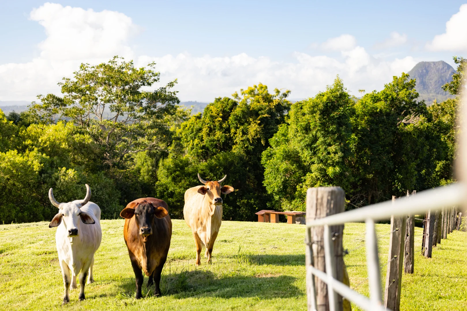 Additional image 30 of 52 Binalong Road, Pinbarren QLD 4568