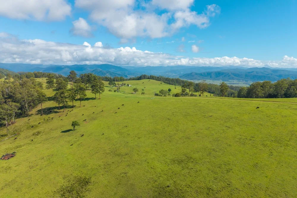 Additional image 25 of 669 Costigans Road, Yarras NSW 2446