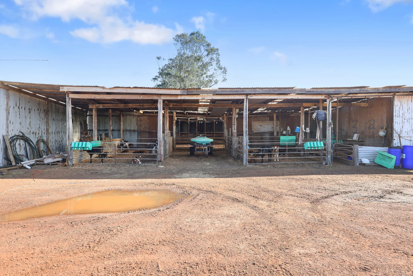 Additional image 51 of 140 Savins Road, Condah VIC 3303
