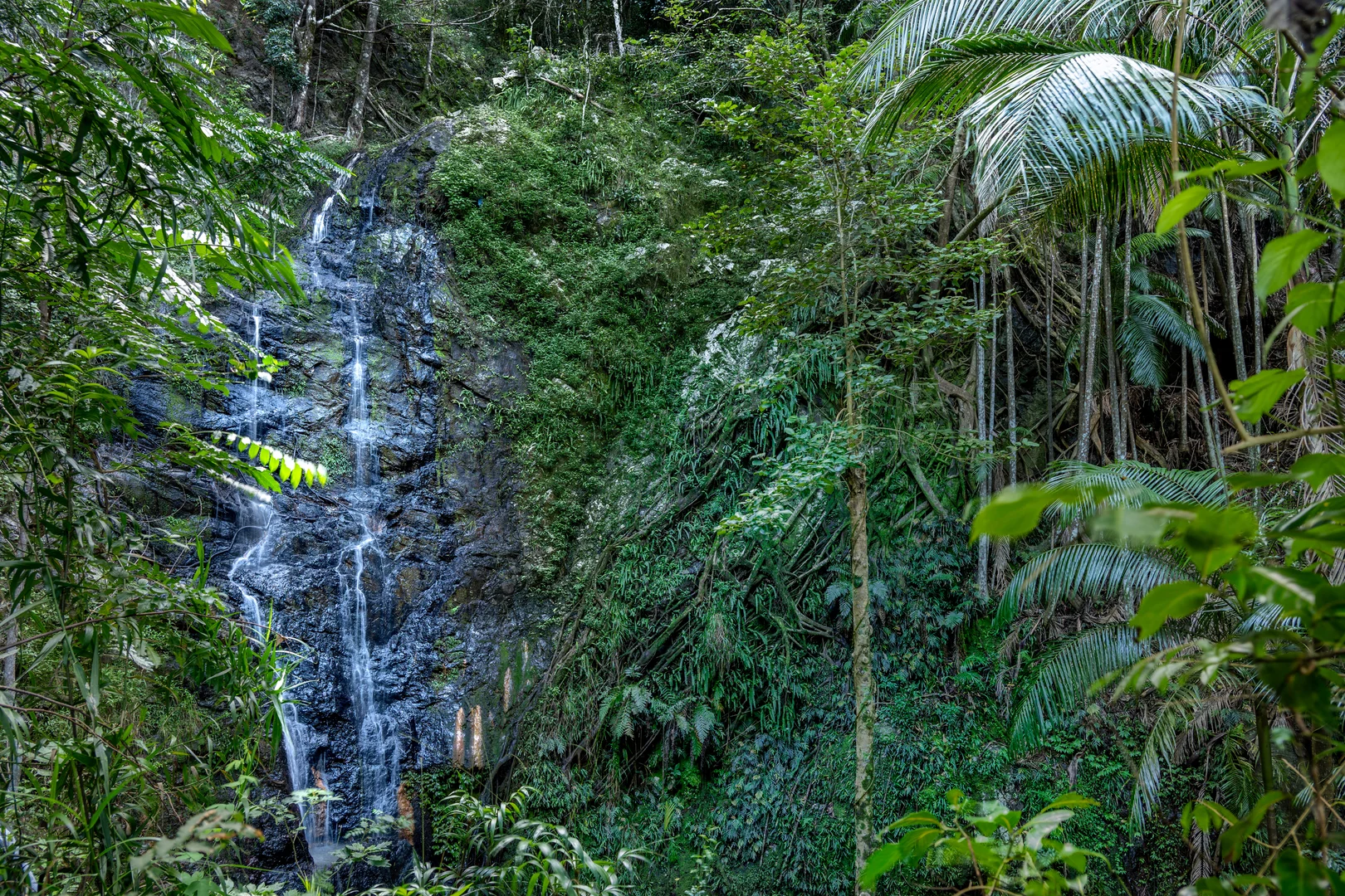 Additional image 14 of Sleepy Hollow NSW 2483