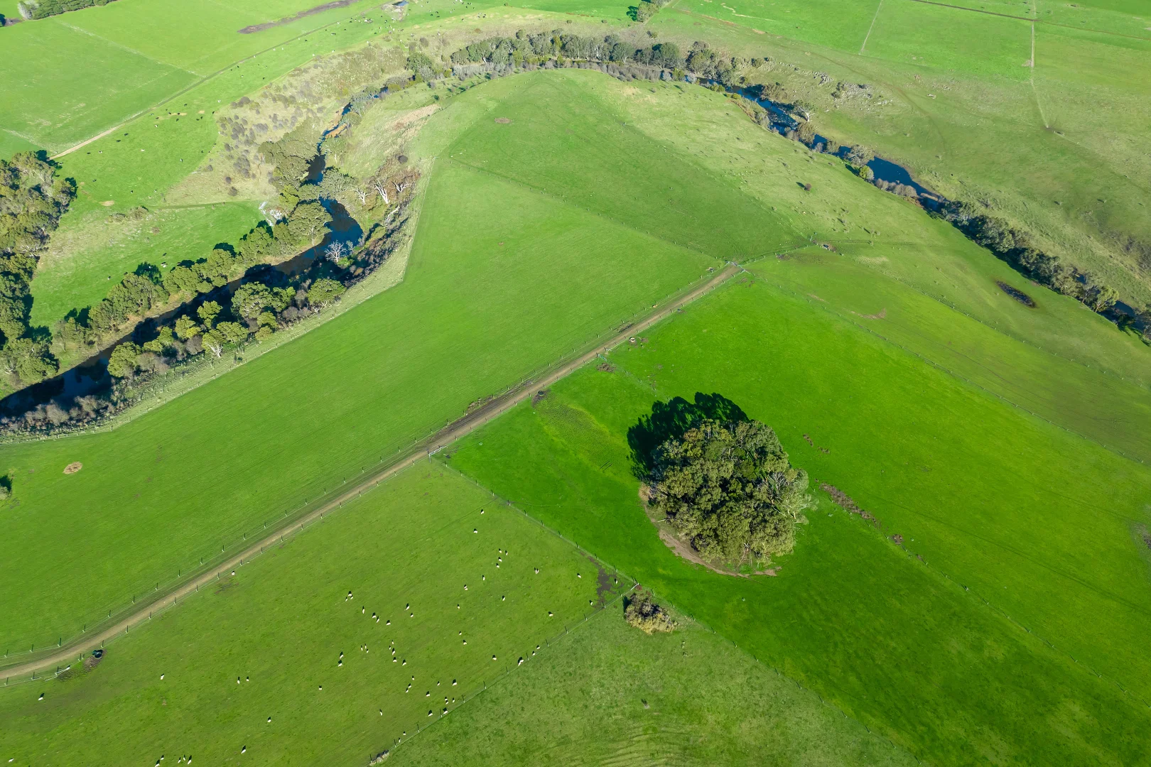 Additional image 6 of The Junction, 212 Warrumyea Road, Panmure VIC 3265