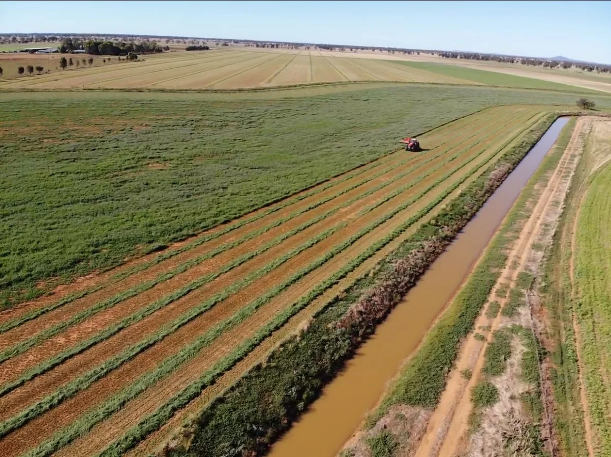 Additional image 13 of 229 Elliots Lane, Forbes NSW 2871