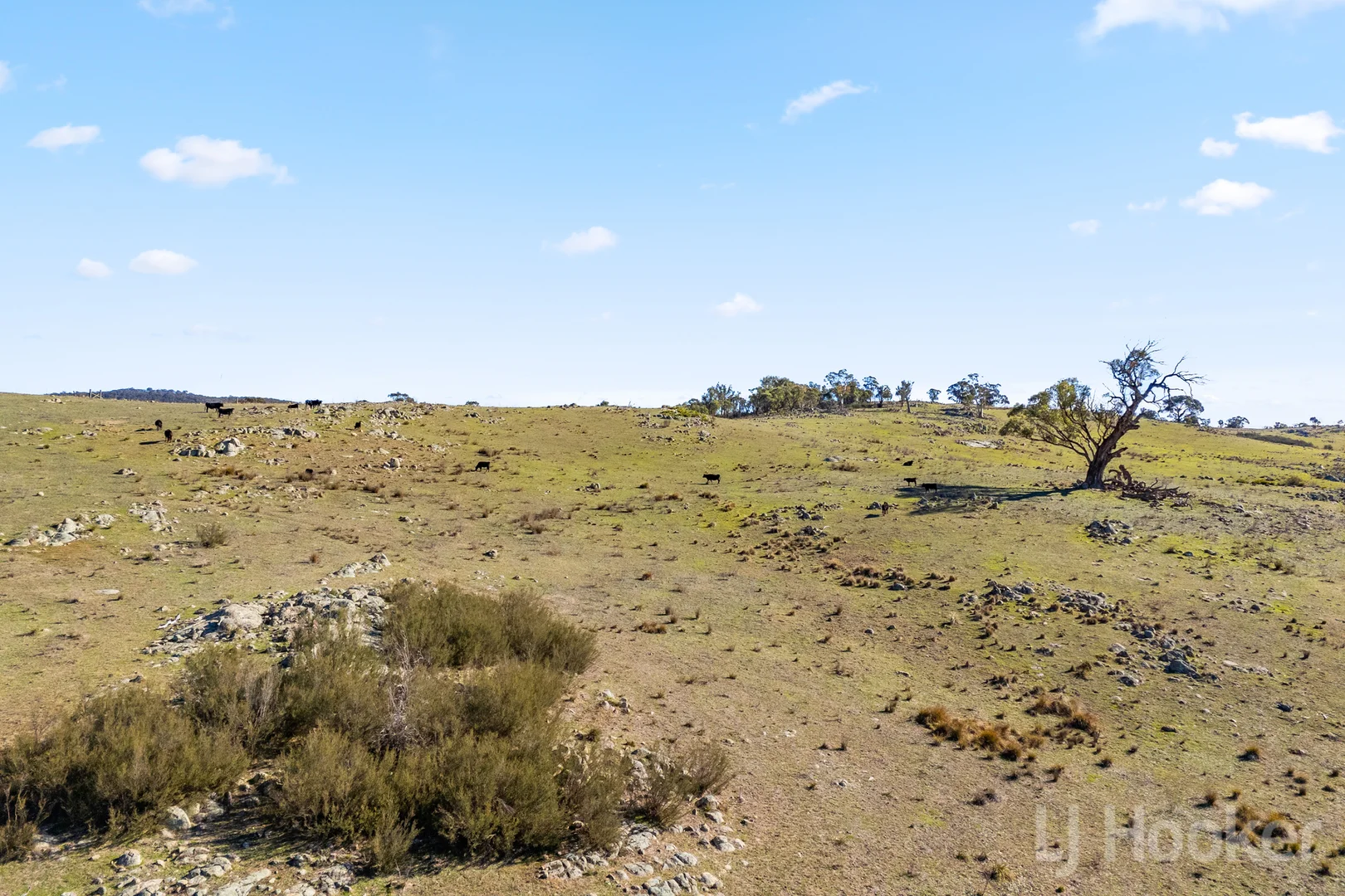 Additional image 15 of 877 Urila Road, Urila NSW 2620