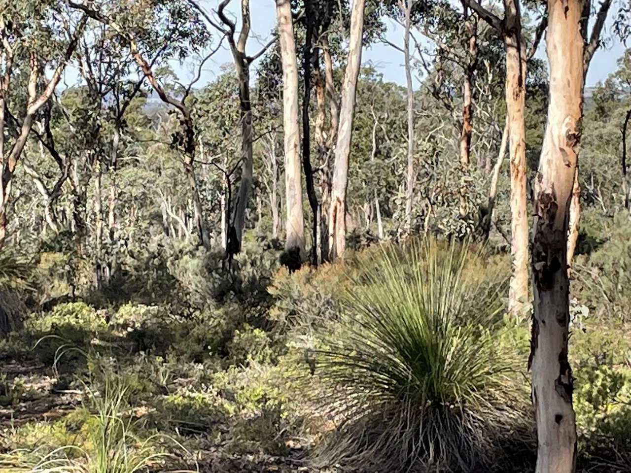 Additional image 16 of 200 Gumley Road, Bakers Hill WA 6562