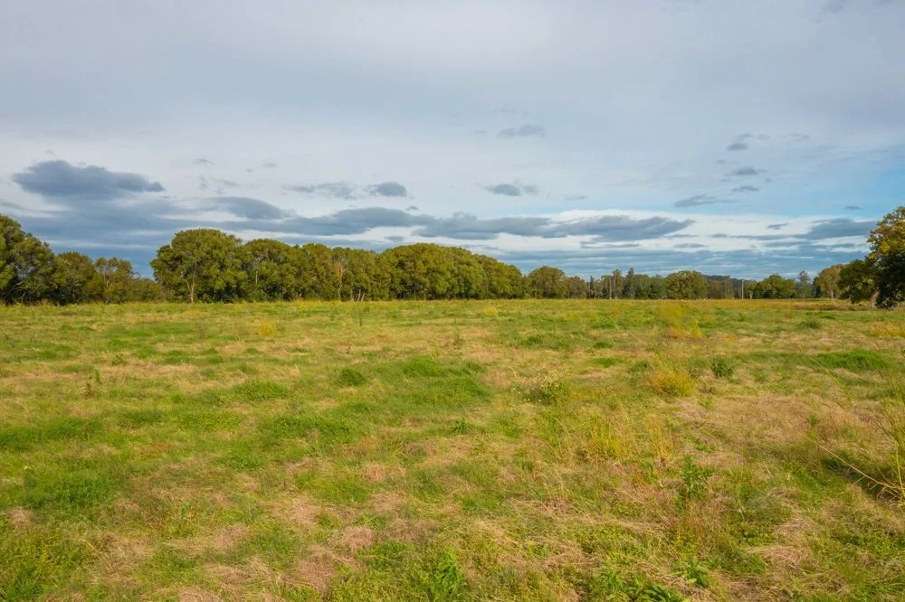 Additional image 13 of LOT 1 HURSLEY ROAD, Redbank NSW 2446