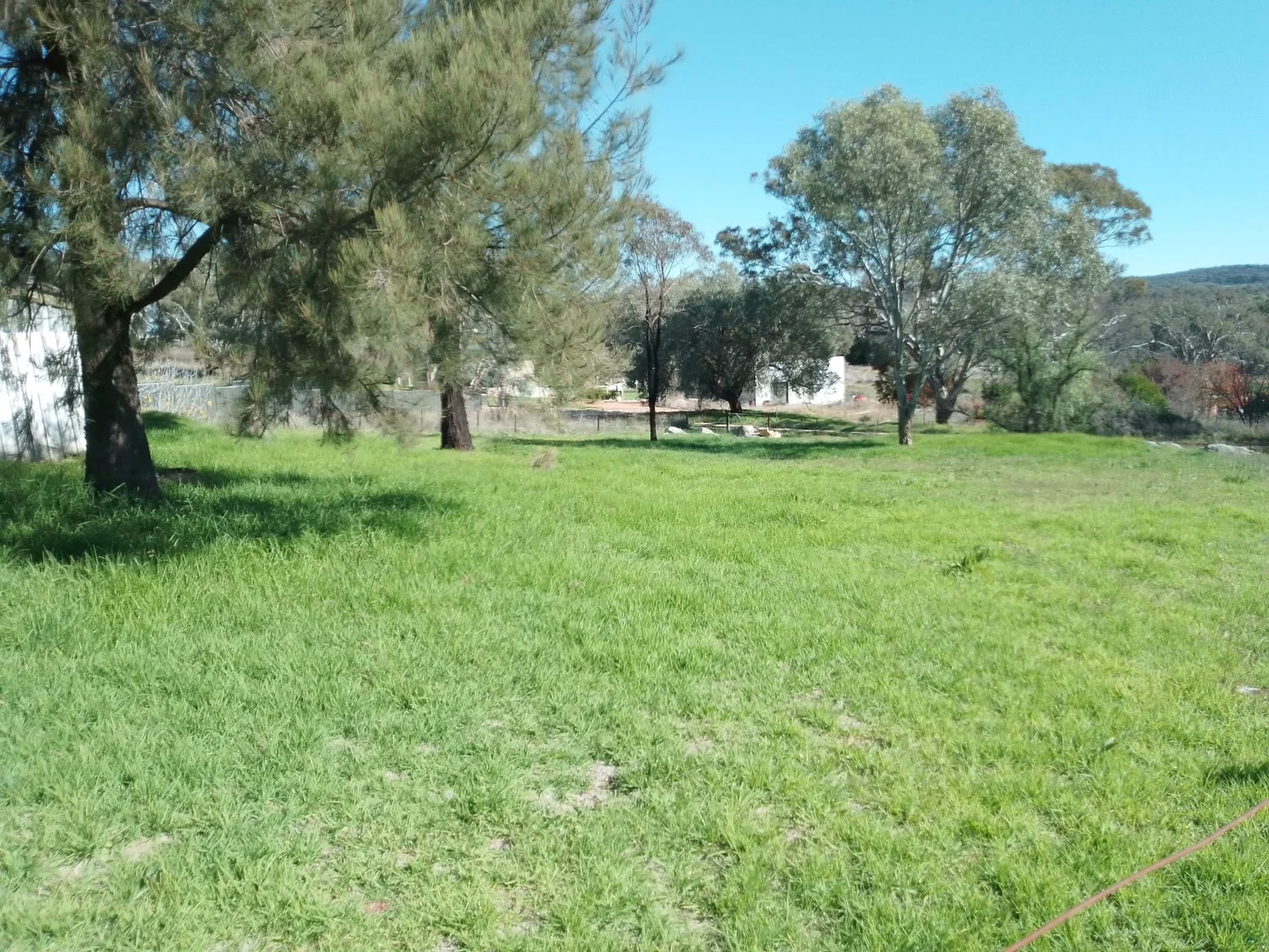 Additional image 3 of Molong NSW 2866