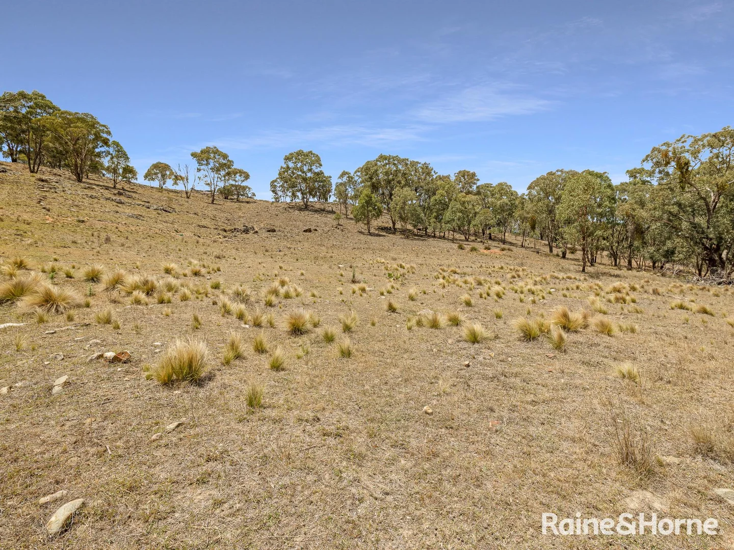 Additional image 10 of 3015 Turondale Road, Turondale NSW 2795