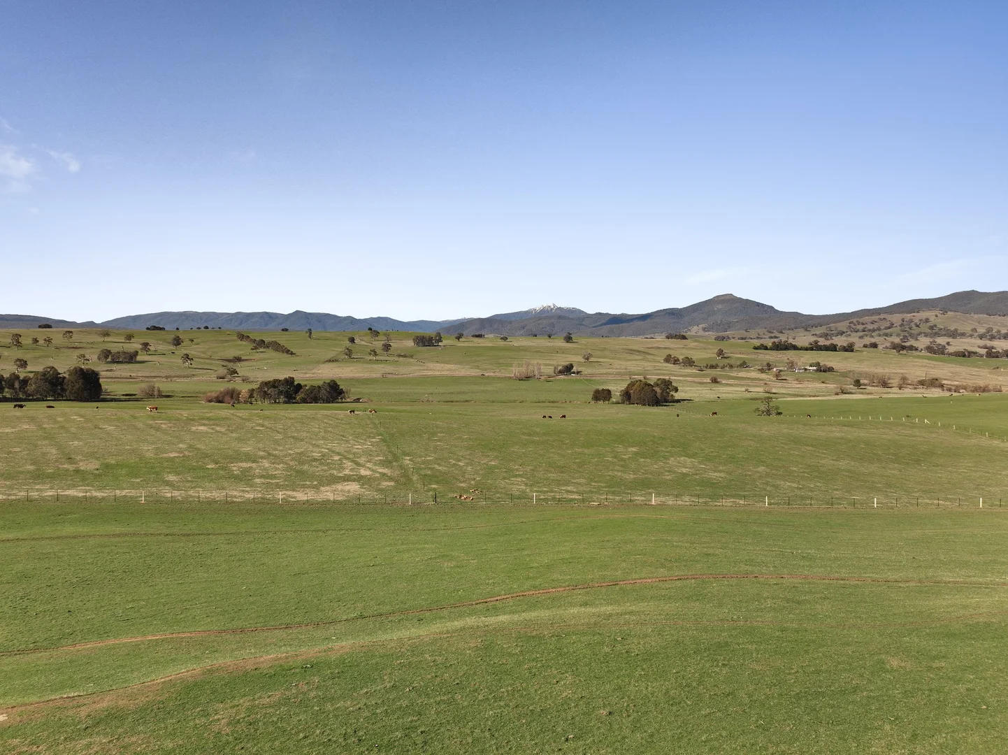 Additional image 11 of Lot 1, 214 Hearns Road, Boorolite VIC 3723