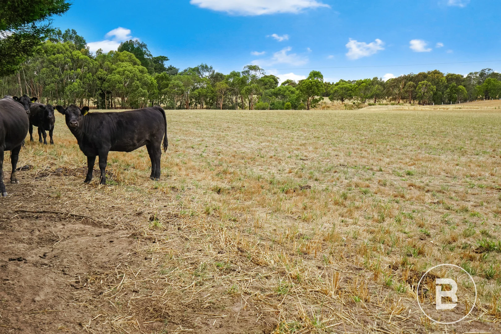 Additional image 9 of Lot 1 Hardies Hill Road, Garibaldi VIC 3352