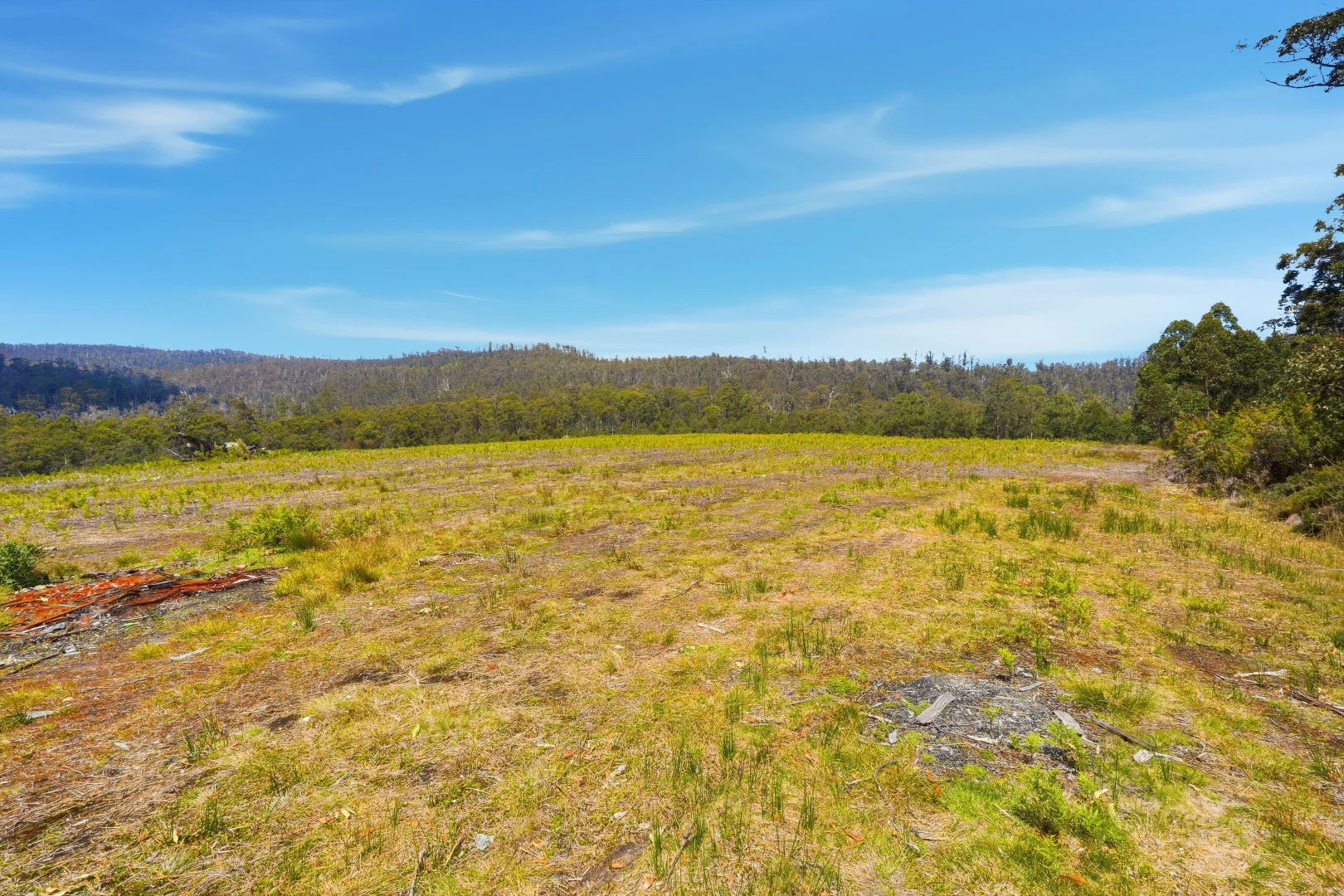 Additional image 7 of 319 Yearsley Road, Broadmarsh TAS 7030