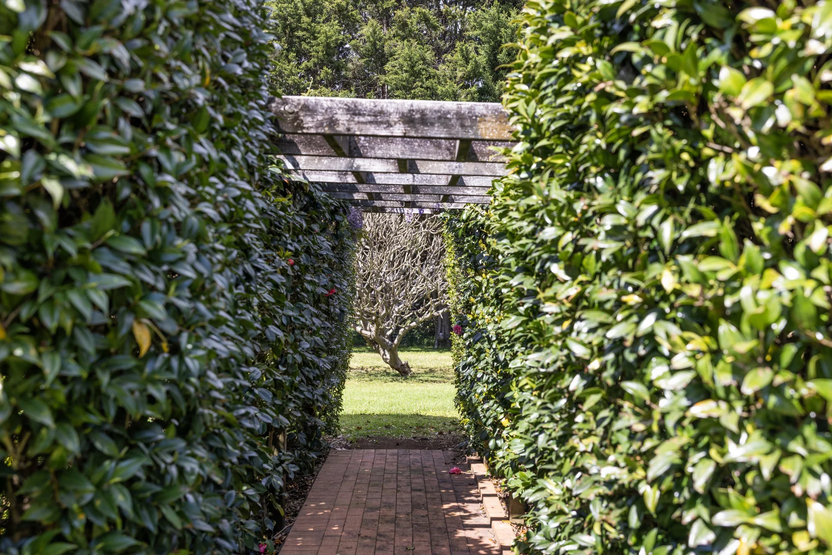 Additional image 22 of 220a Strongs Road, Jaspers Brush NSW 2535