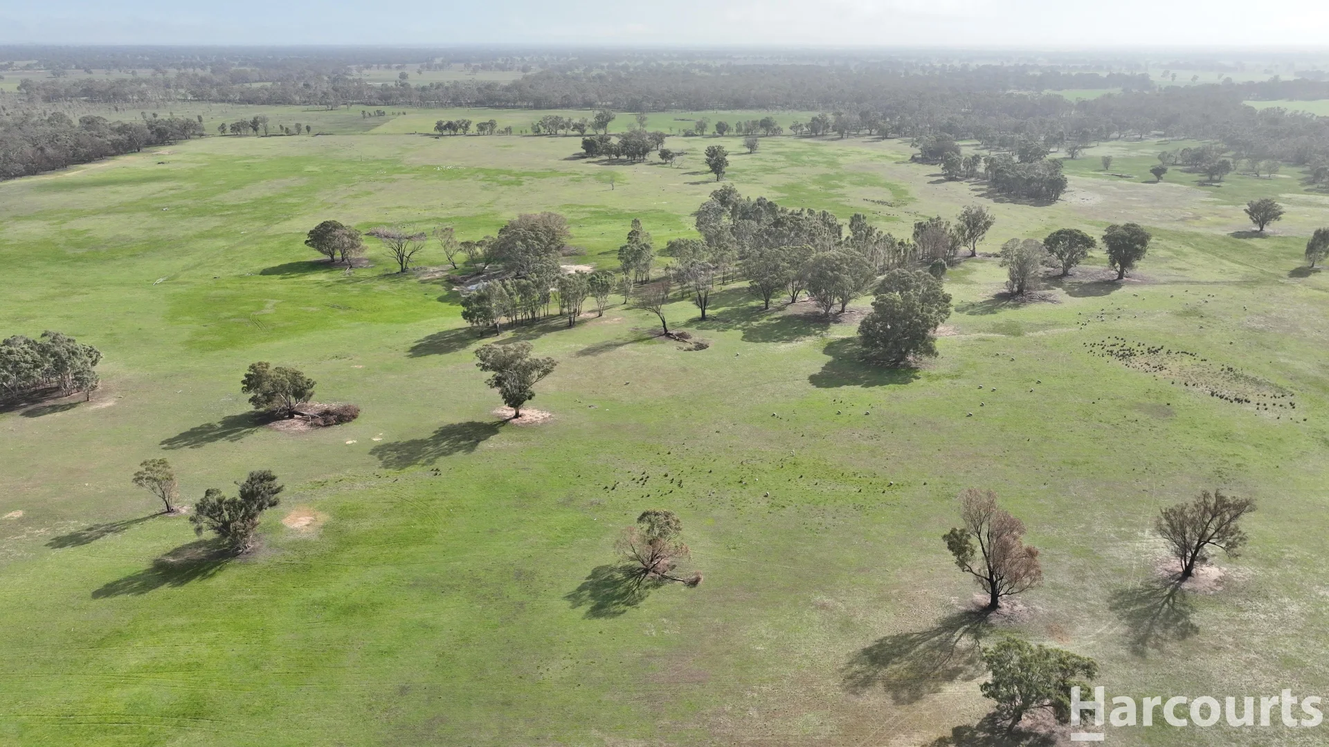 Additional image 34 of 6080 Western Highway, Dadswells Bridge VIC 3385