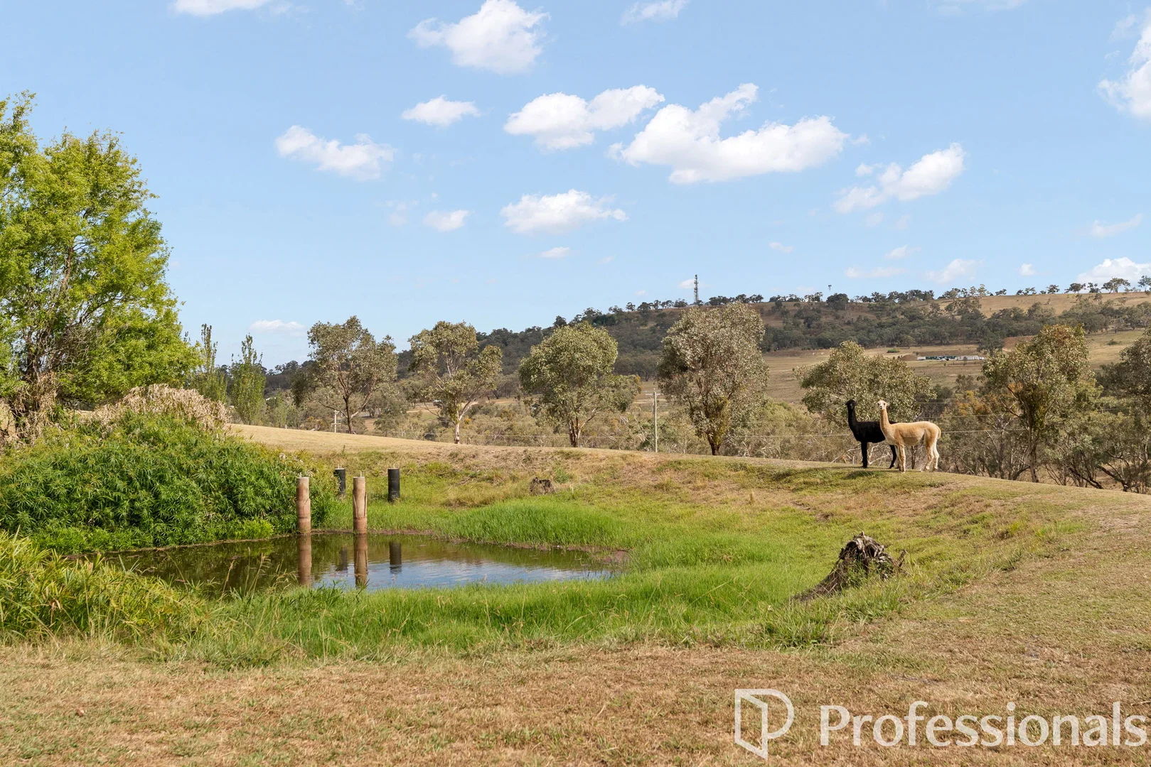 Additional image 28 of 41 Cherry Lane, Robin Hill NSW 2795