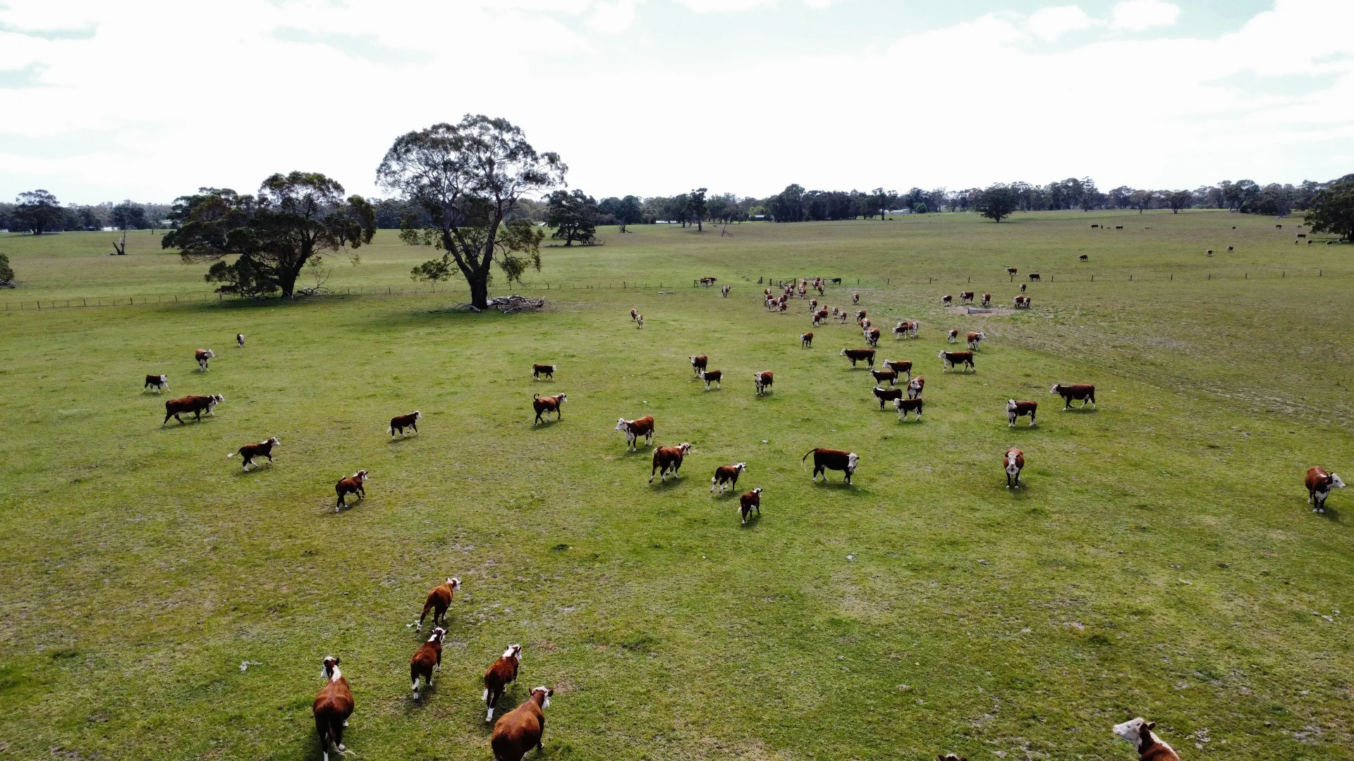 Additional image 10 of Lot/11 Casterton Apsley Road, Apsley VIC 3319