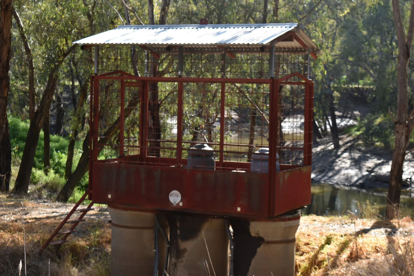 Additional image 10 of "Allandale" 7861 Lachlan Valley Way, Forbes NSW 2871