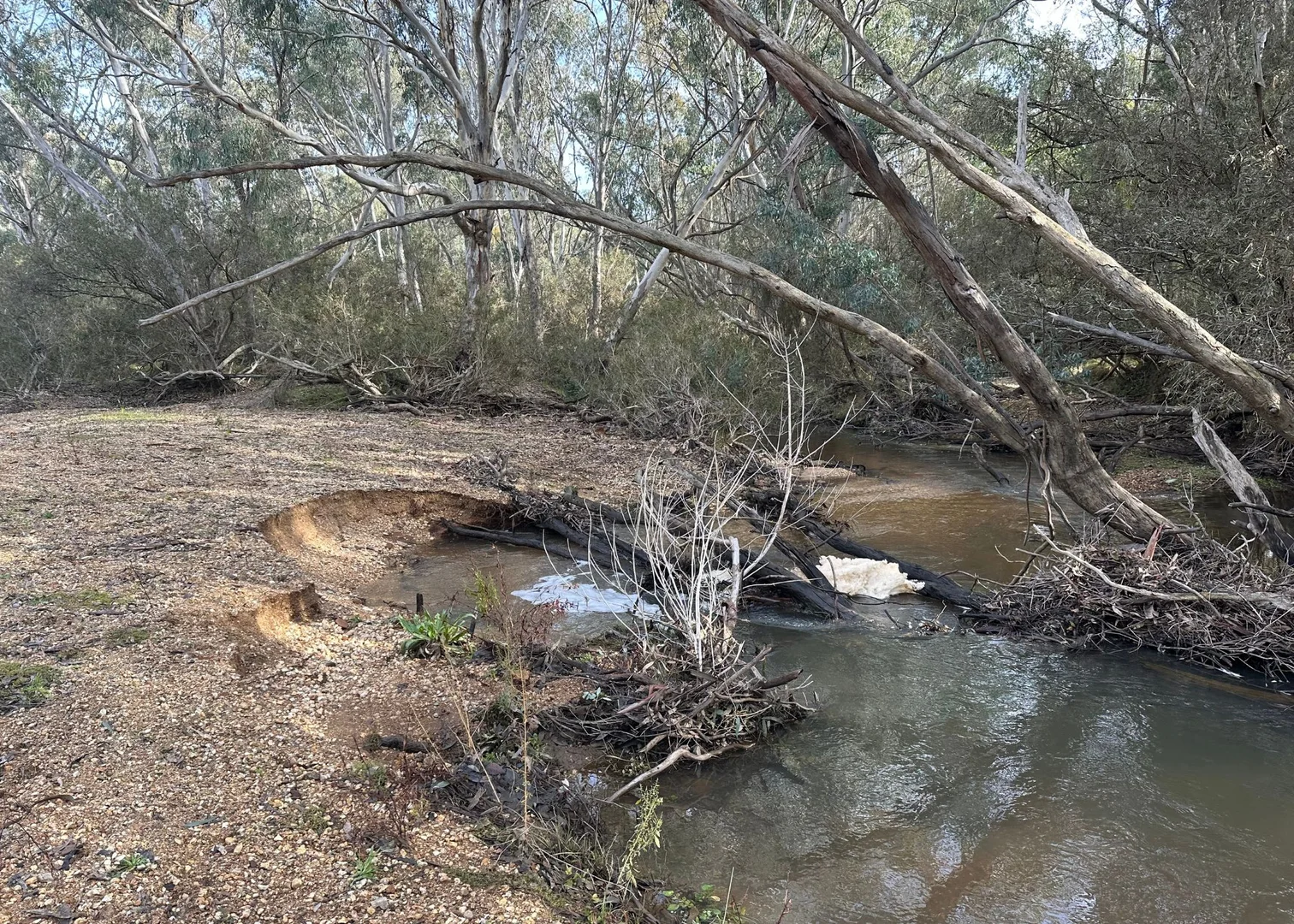 Additional image 11 of 15 Richards Street, Eldorado VIC 3746